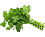Herbs